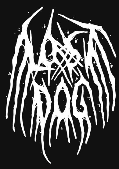 Lost Dog Band